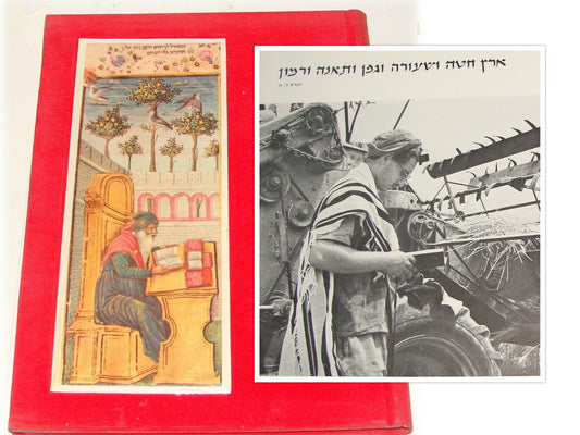 Book Jewish Judaica Israel 1958 Religious Life Album Rabbi Synagogue Jerusalem