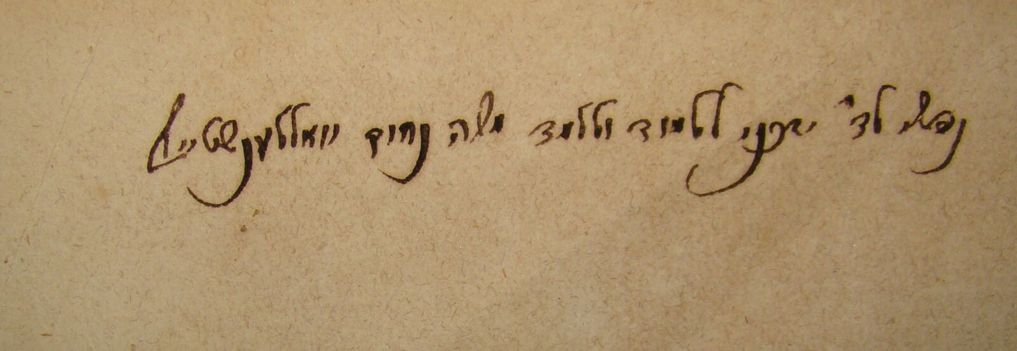 Jewish Judaica Rabbi Wallenstein משה נחום ולנשטיין Signed טור חשן המשפט 1868