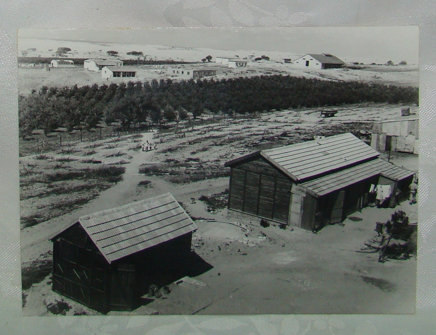 Jewish Palestine Israel press photo 1947 early kibbutz ניצנים settlement zionist