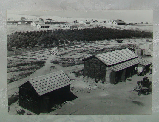 Jewish Palestine Israel press photo 1947 early kibbutz ניצנים settlement zionist