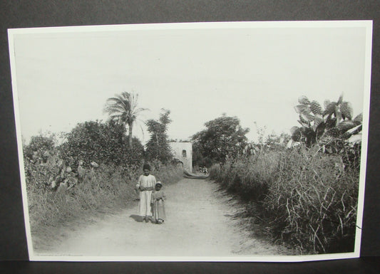 Photo Print Palestine Ad HQ CECIL SHADBOLT 1888 Ottoman Jaffa Walks in Henry