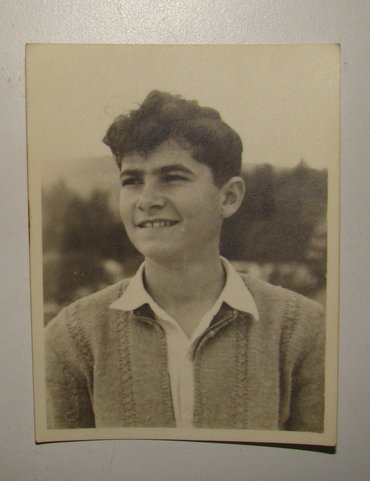 Photo Jewish hebrew 1949 israel kibbutz degania bet village