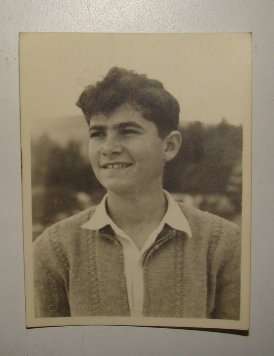 Photo Jewish hebrew 1949 israel kibbutz degania bet village