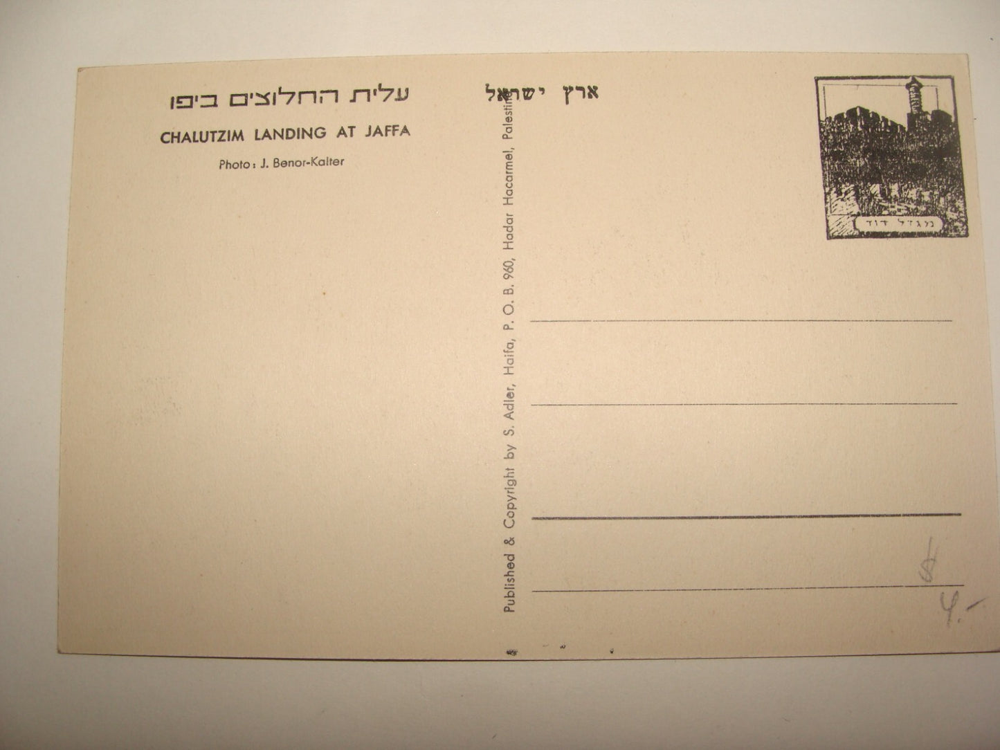 Photo Palestine Card Jewish Judaica Israel Jaffa Pioneers Immigrants Zionist