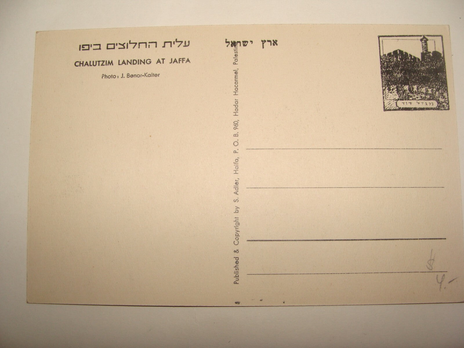 Photo Palestine Card Jewish Judaica Israel Jaffa Pioneers Immigrants Zionist