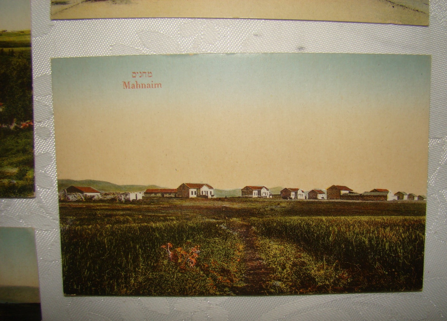 Photo Palestine Card hebrew jewish Israel Moshe Ordmann postcard Kibbutz Moshav