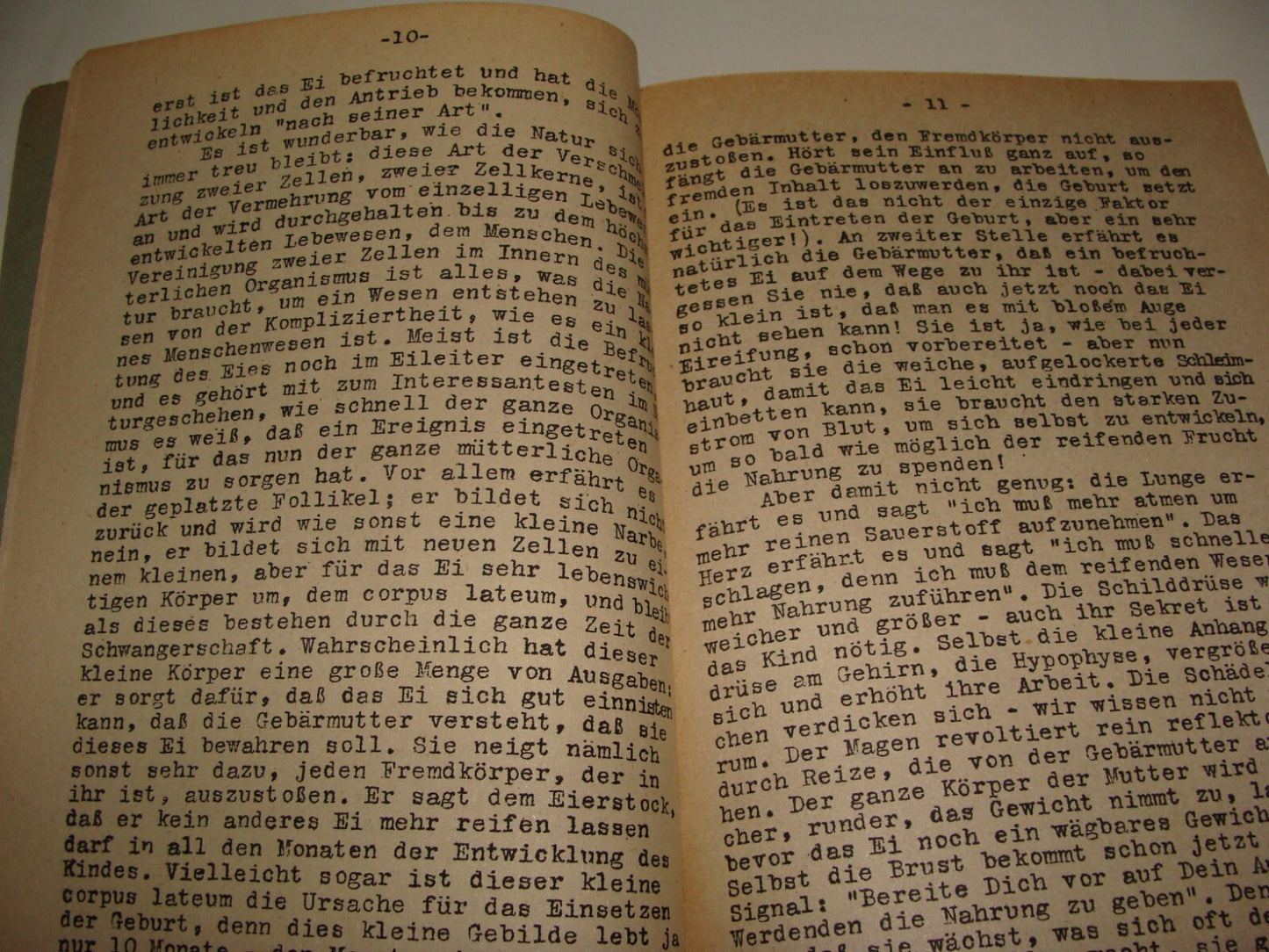 Germany Jewish Judaica Palestine Israel 1943 Dr Rahel Straus German   1st DOCTOR