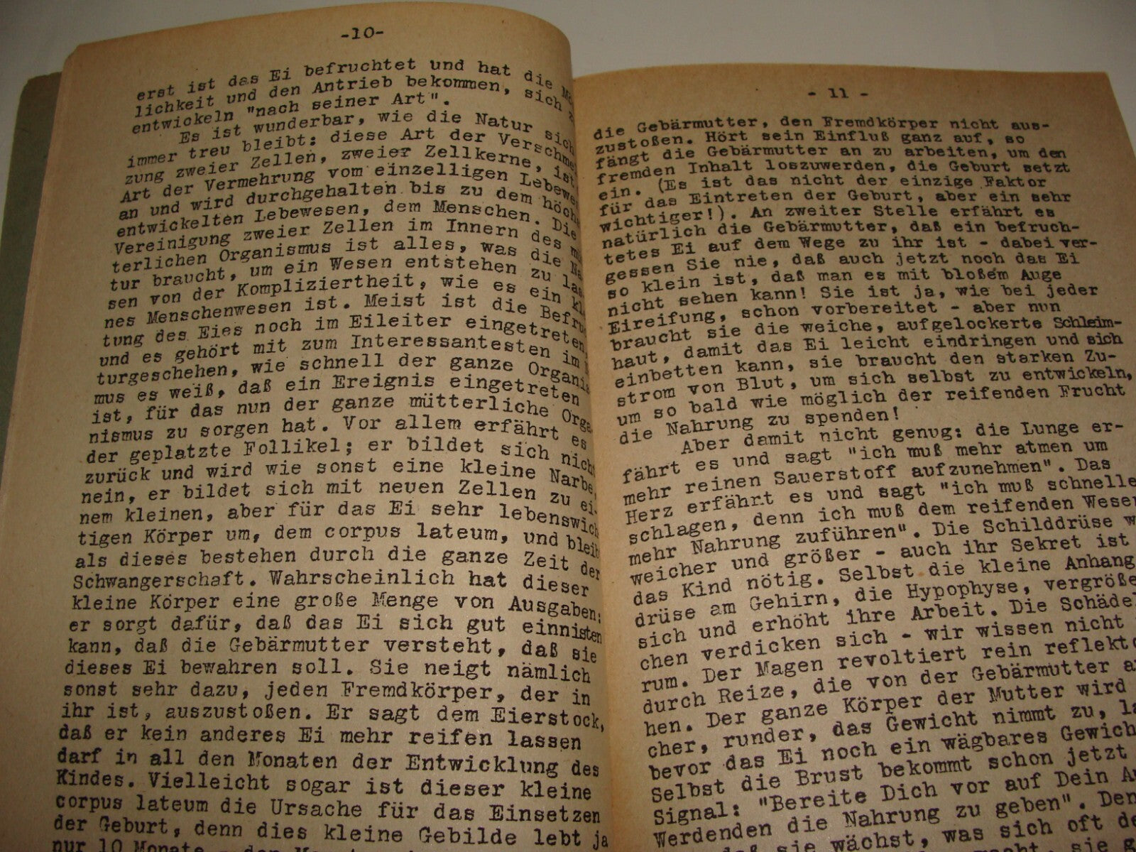 Germany Jewish Judaica Palestine Israel 1943 Dr Rahel Straus German   1st DOCTOR