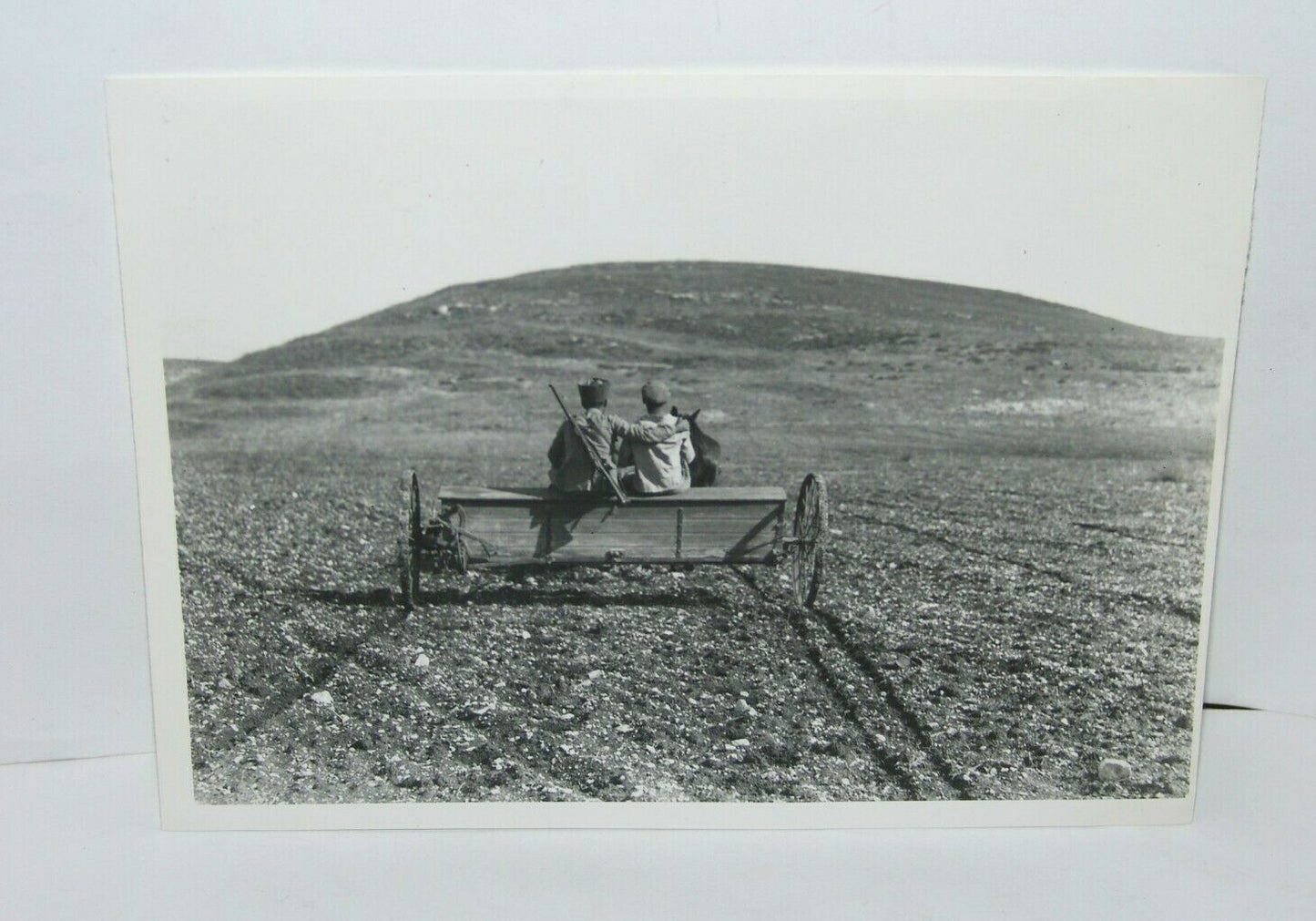 Jewish Judaica palestine Eretz Israel Kibbutz Ein HaShofet GPO press photo 1937