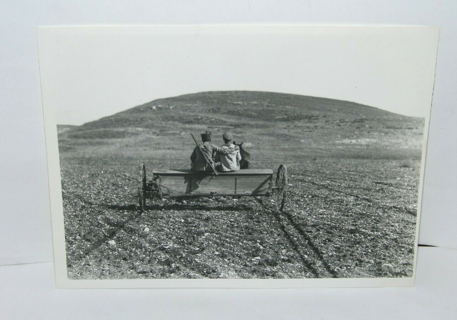 Jewish Judaica palestine Eretz Israel Kibbutz Ein HaShofet GPO press photo 1937