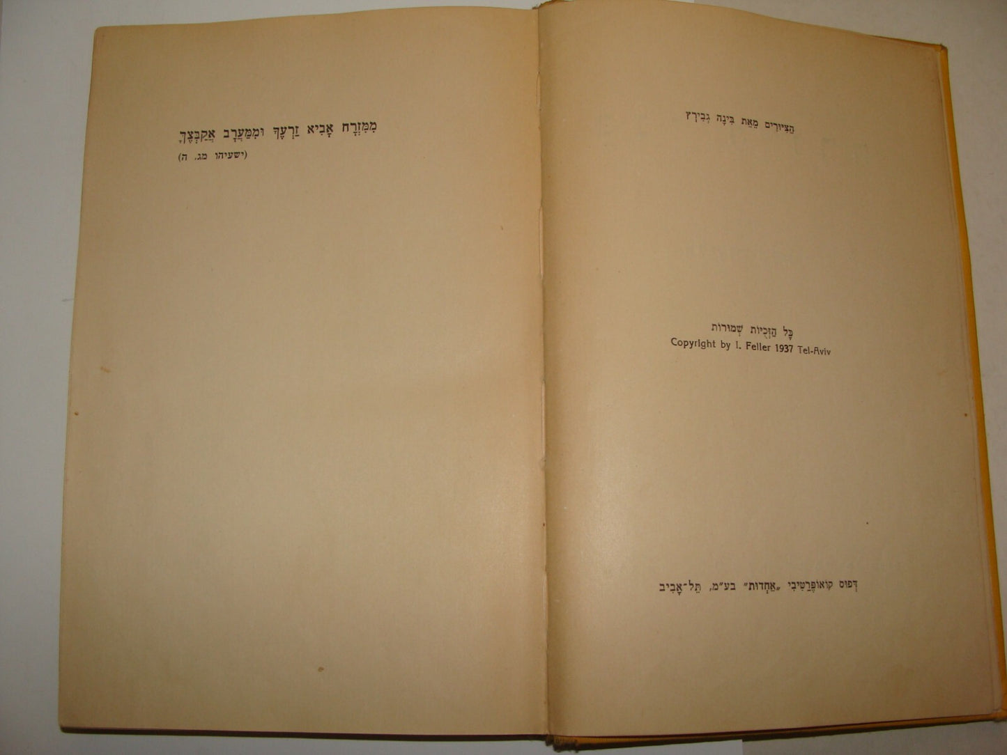 Book Jewish Palestine Israel Israeli Hebrew Children Kids Zionist בני היורה 1937