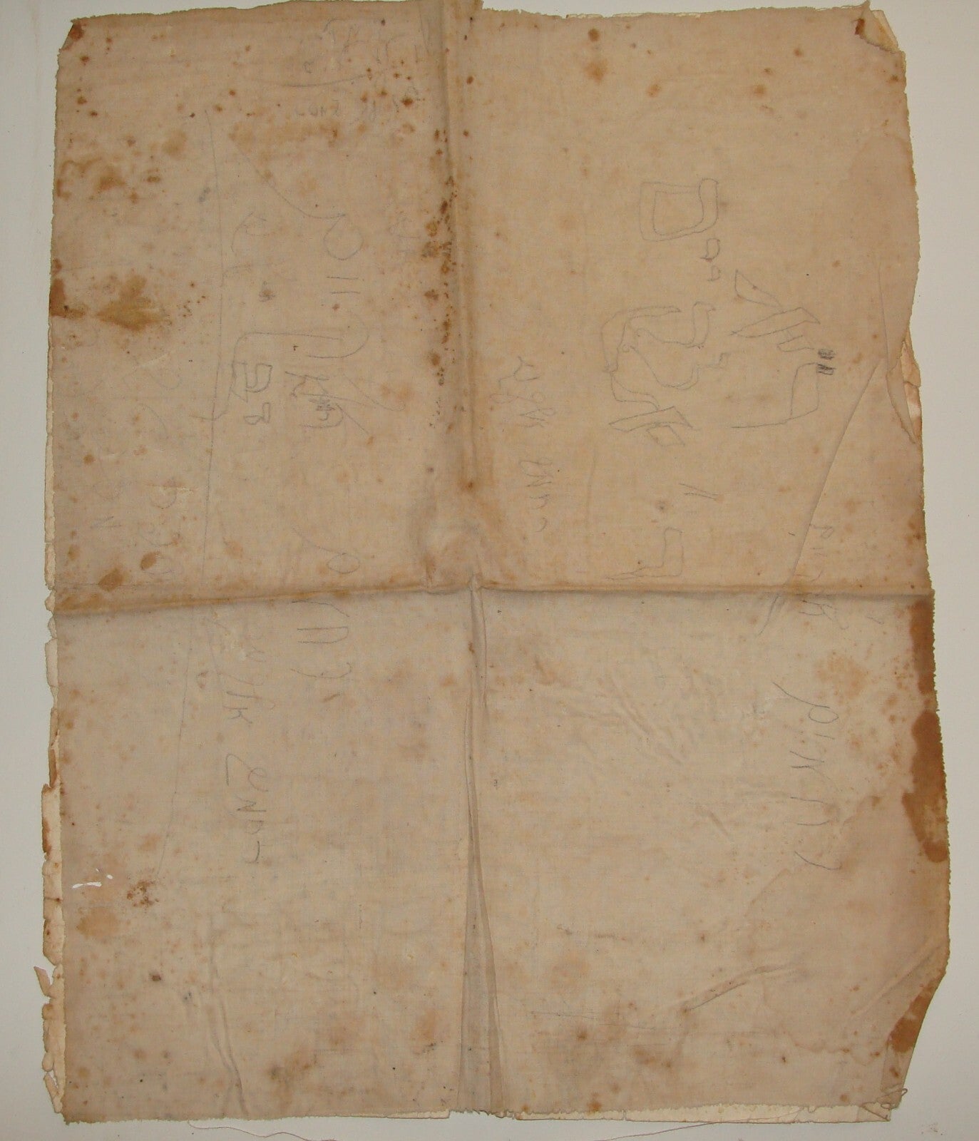 RARE Jewish Judaica Palestine Israel Map on Cloth 1920s Austria Vienna Hebrew