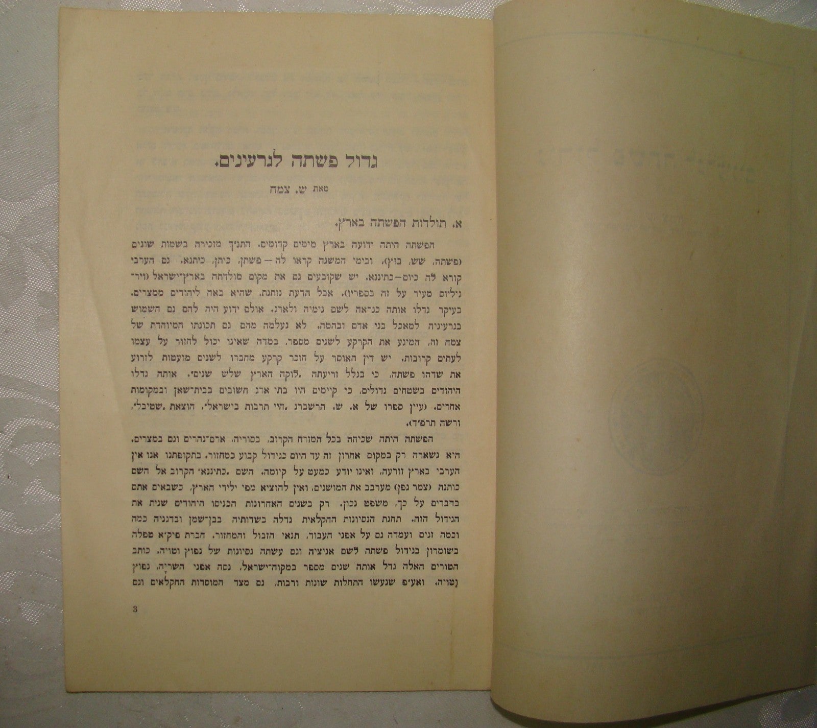 Book Jewish Hebrew Palestine Israel 1928 Agriculture Zionist Settlement Company