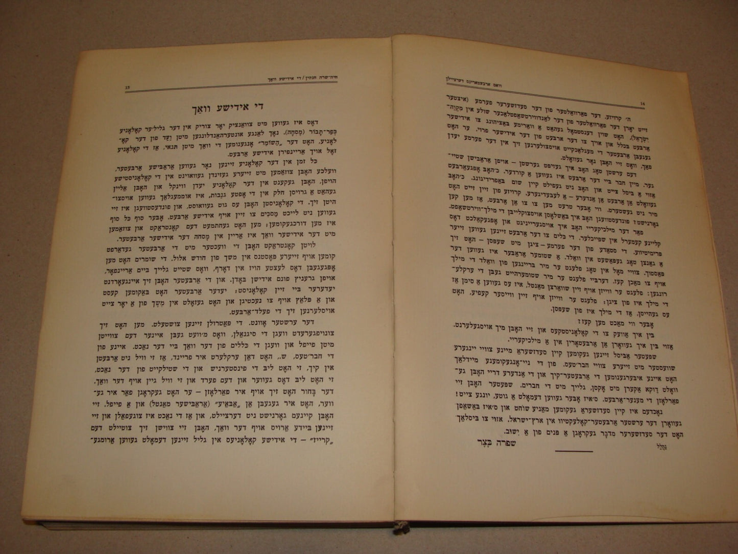 Book Jewish Judaica 1931 Palestine Israel Yiddish Zionist Women Rachel Ben Zvi