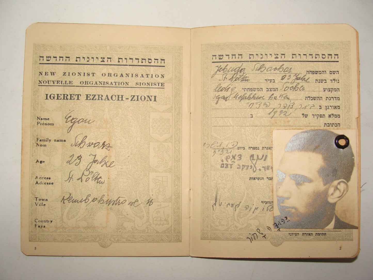 Pol Jewish Judaica 1936 Betar Beitar Revisionist Zionist Certificate Member