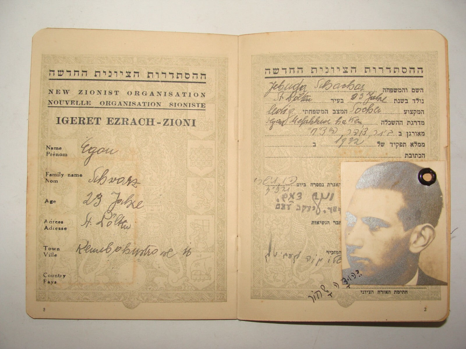 Pol Jewish Judaica 1936 Betar Beitar Revisionist Zionist Certificate Member