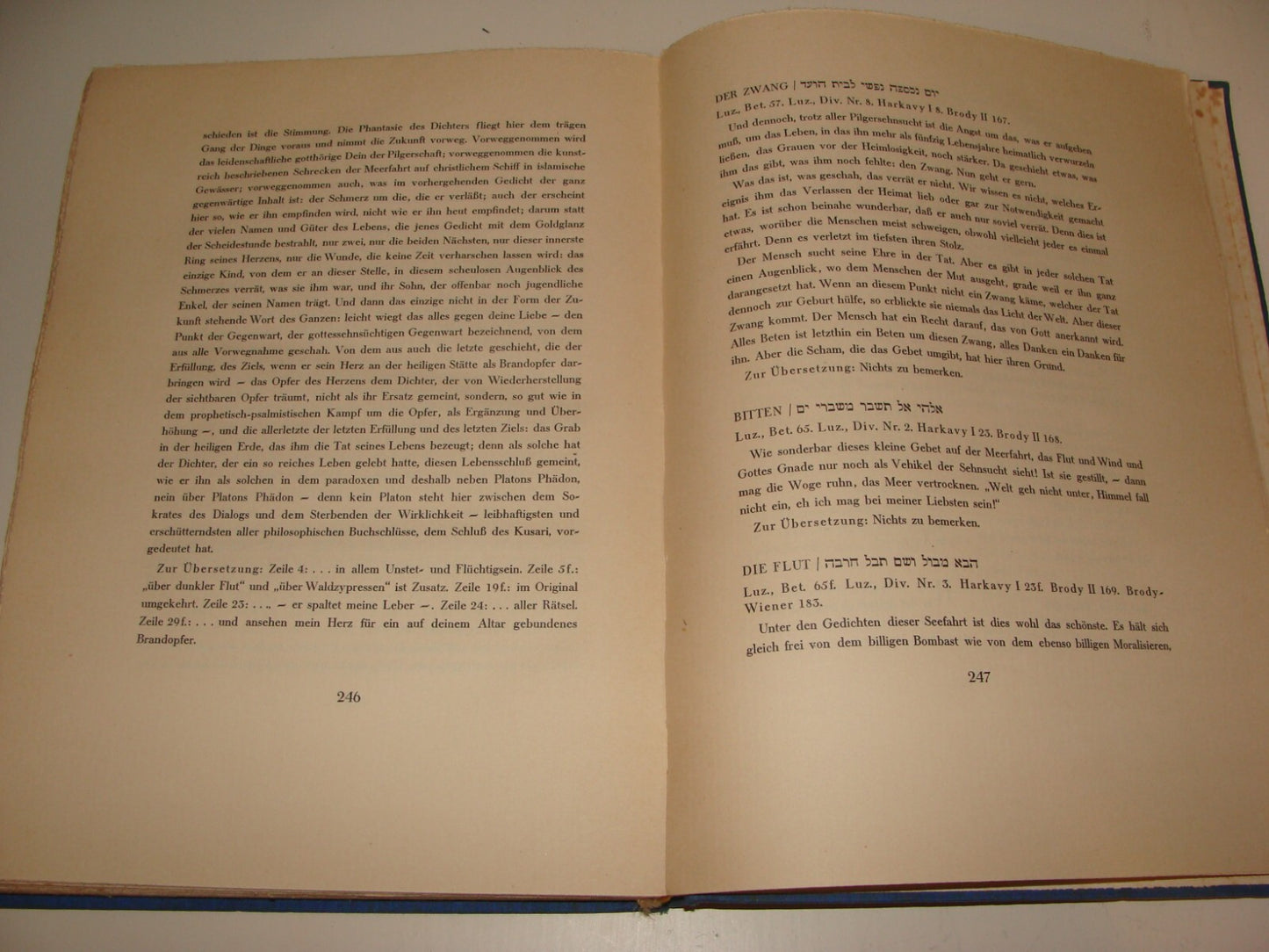 Germany Book Jewish Judaica 1926 German   Rabbi Jehuda Halevy Songs Poetry Poems