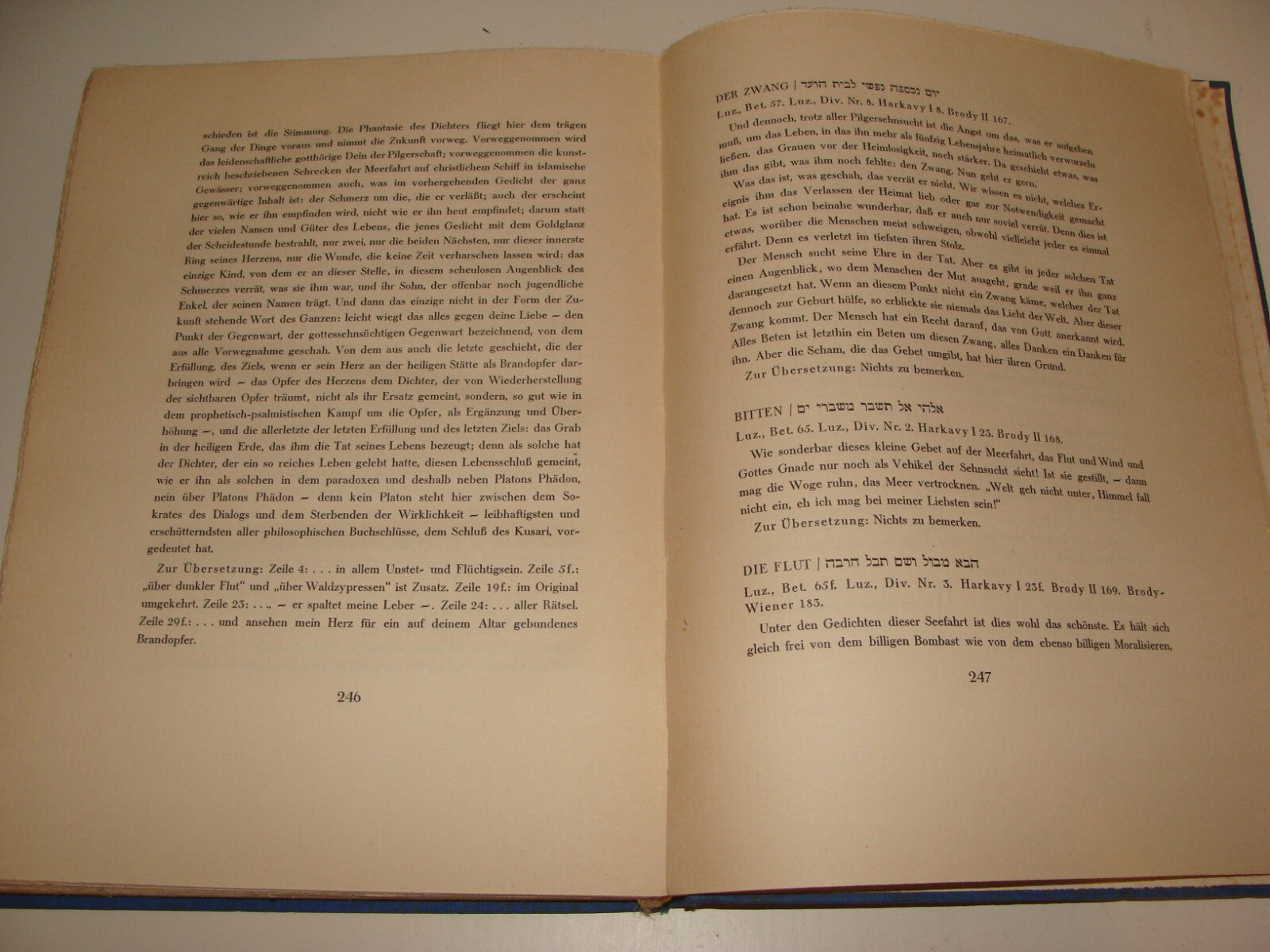 Germany Book Jewish Judaica 1926 German   Rabbi Jehuda Halevy Songs Poetry Poems