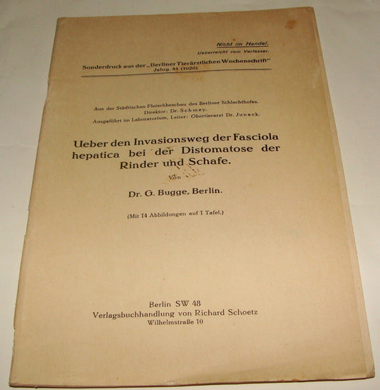 Germany 1920s German   Medical Health Biology Meat Food Worms Paper Dr Bugge
