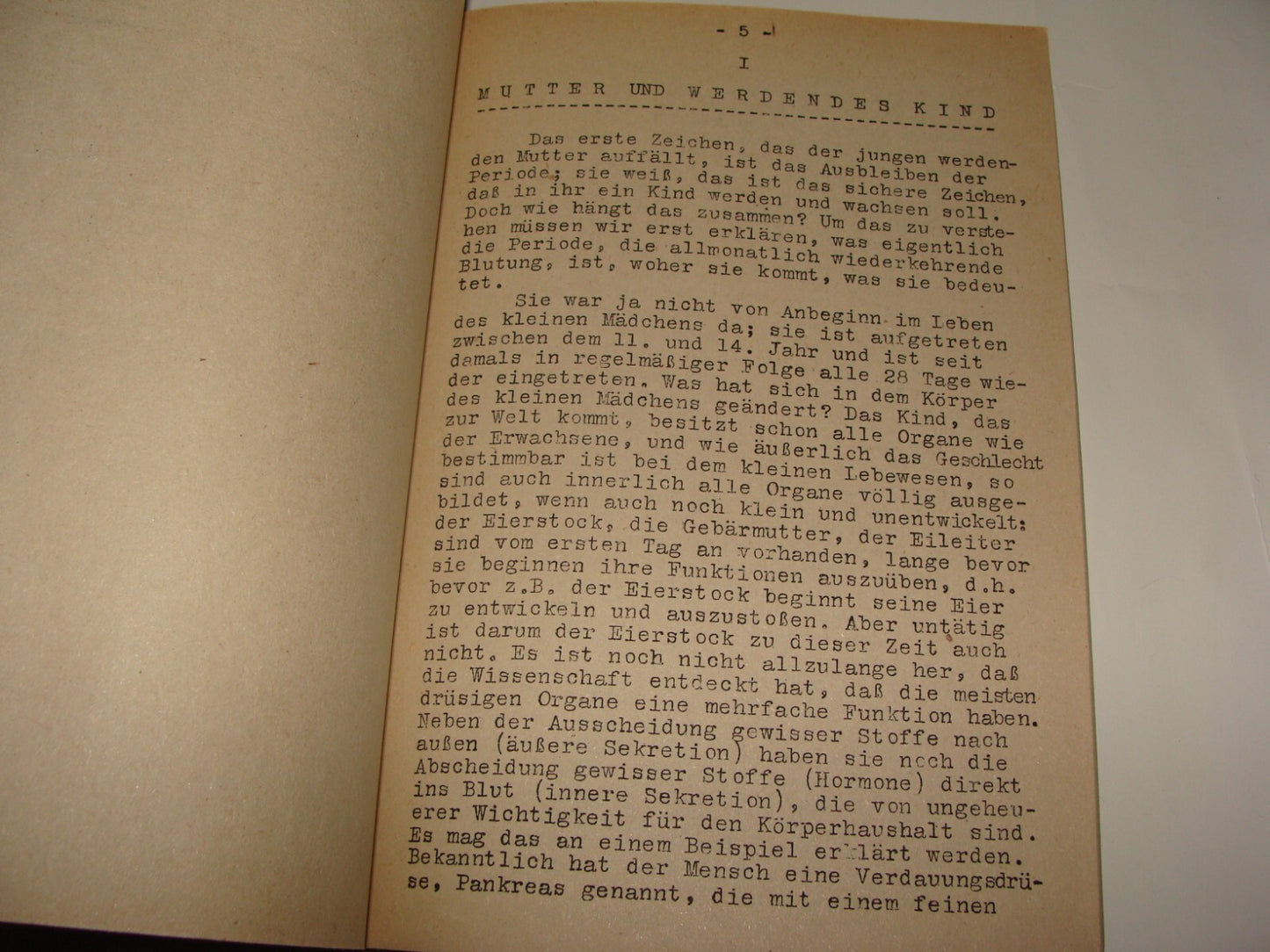 Germany Jewish Judaica Palestine Israel 1943 Dr Rahel Straus German   1st DOCTOR