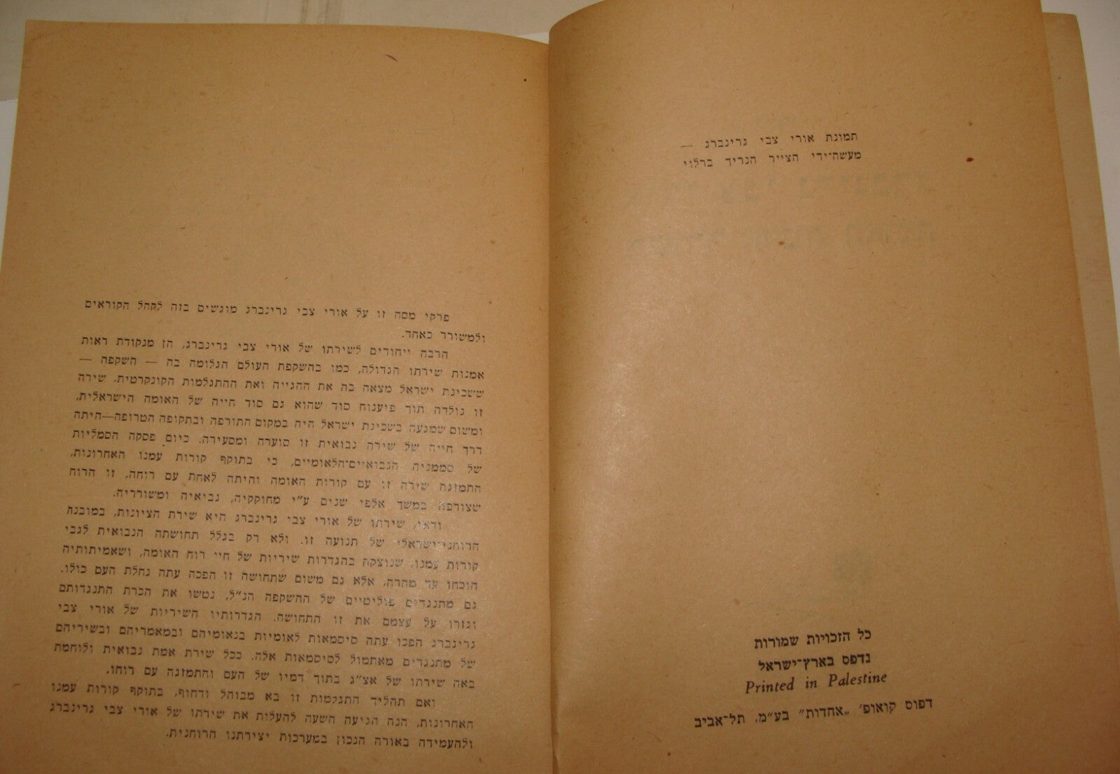 Book Jewish Judaica 1945 Palestine Israel Hebrew Poetry Uri Zvi Grinberg History
