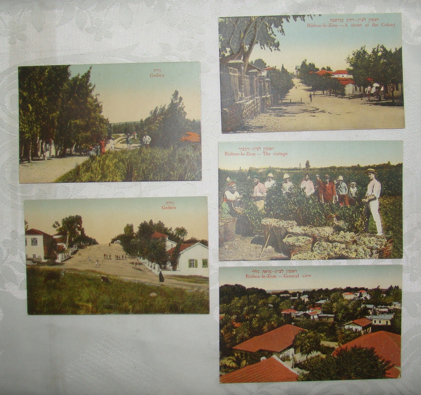 Photo Palestine Card hebrew jewish Israel Moshe Ordmann postcard Rishon LeZion
