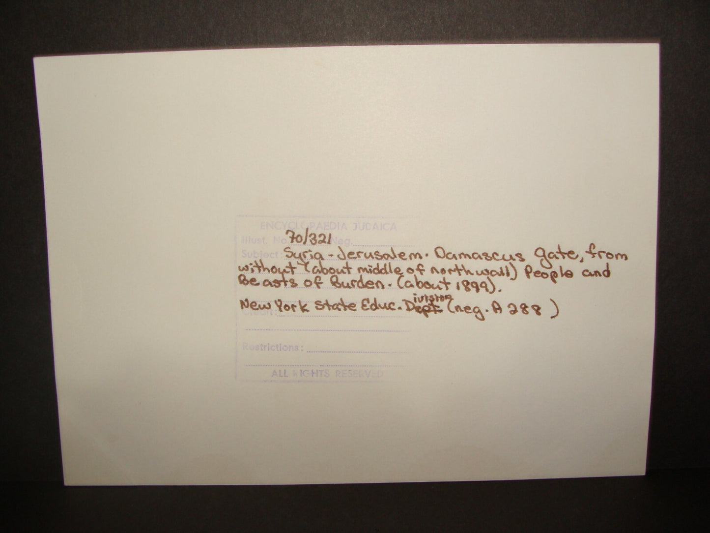 Photo Print Palestine HQ c.1899 Ottoman Jerusalem Damascus Gate Beasts of Burden