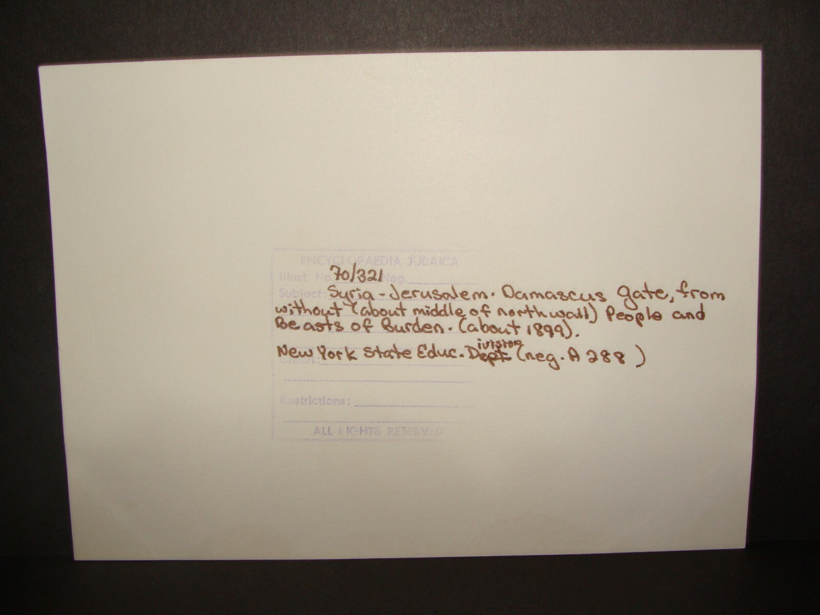 Photo Print Palestine HQ c.1899 Ottoman Jerusalem Damascus Gate Beasts of Burden