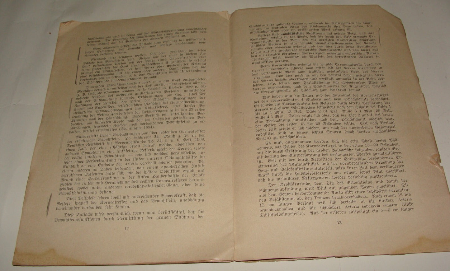 Germany Paper Jewish Judaica Antique 1911 German   Jews Slaughter Kosher Ritual