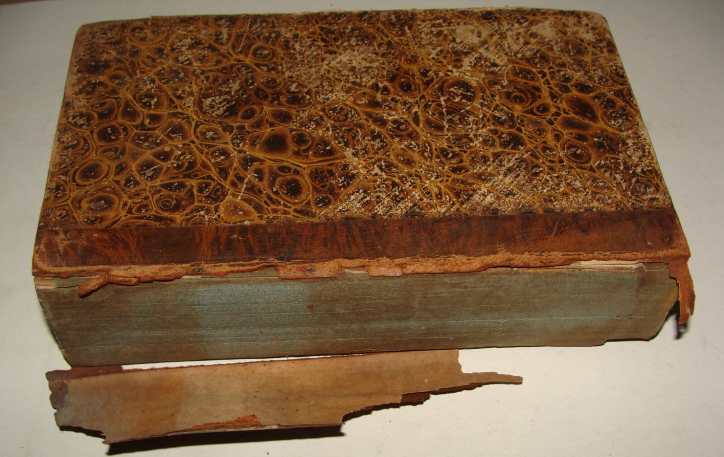 Germany Book Jewish Judaica German Wilhelm Gesenius Hebrew Language 1817