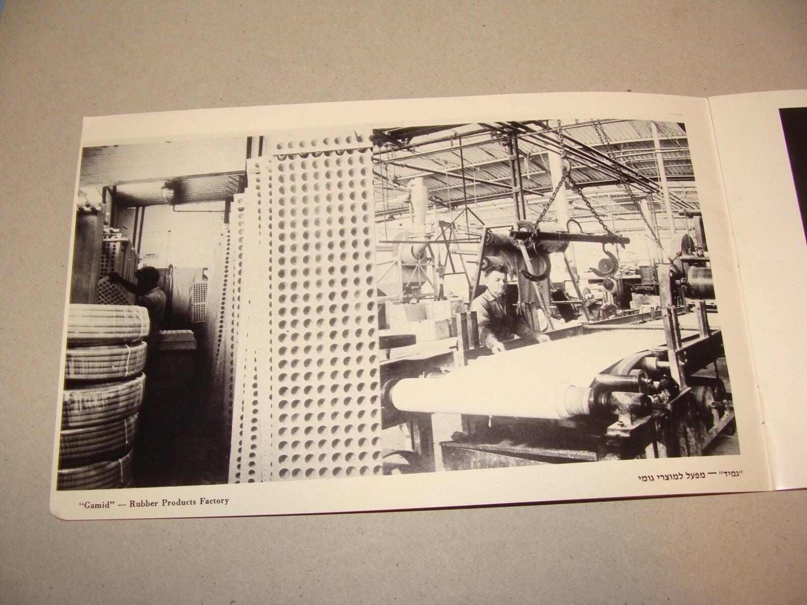 Photo Jewish 1950s Israel Israeli NATANYA Natania Guide Brochure Album Hebrew