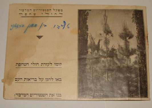 Booklet Palestine 1930s ANTI TUBERCULOSIS LEAGUE OF Israel Hebrew Jewish Judaica