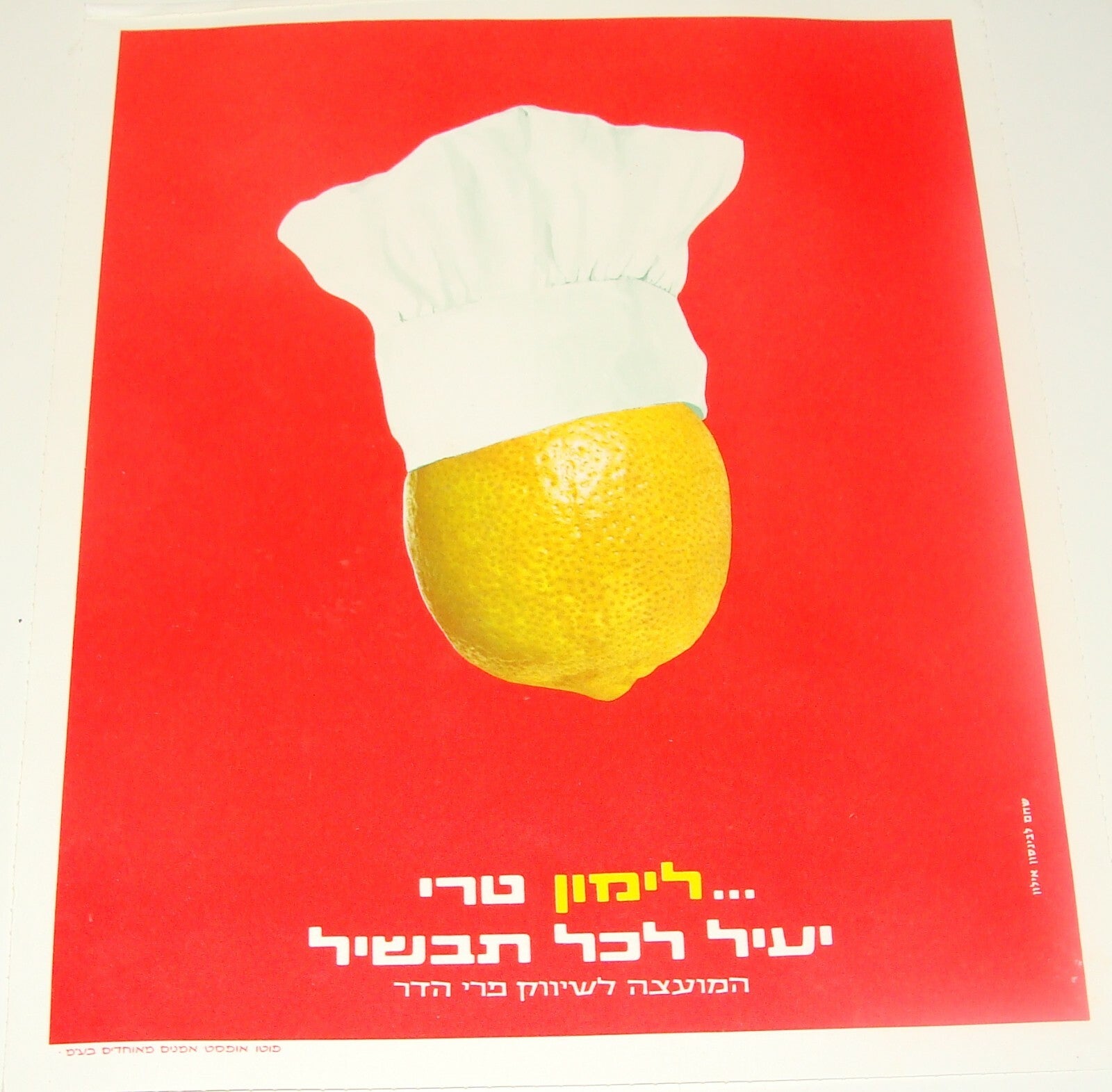 Ad Jewish Hebrew Israel Israeli Vintage Poster Lot Fruit Orange Citrus Zionist