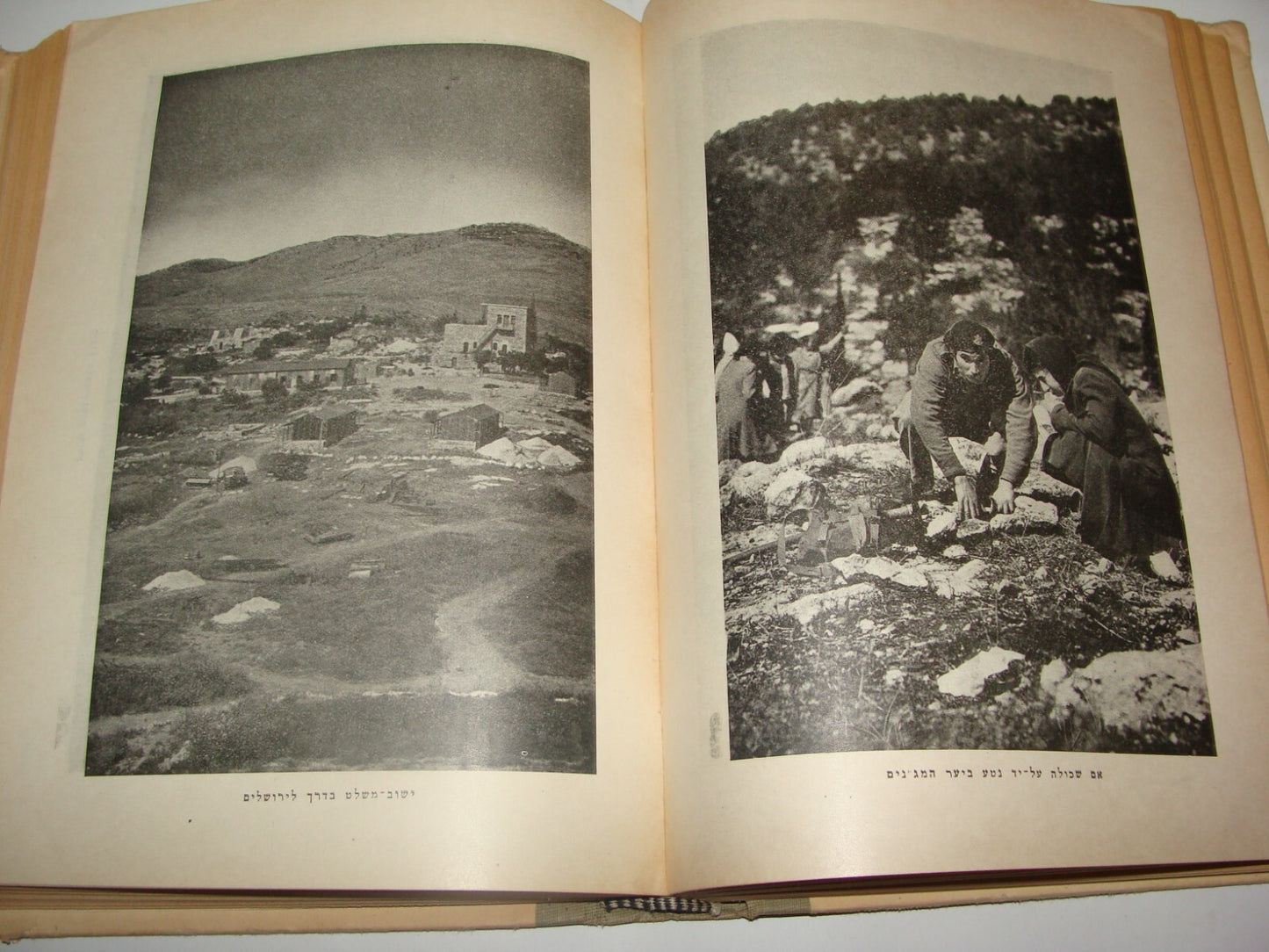 Book Jewish 1950 Judaica National Fund Zionist Hebrew Agriculture Photo Art