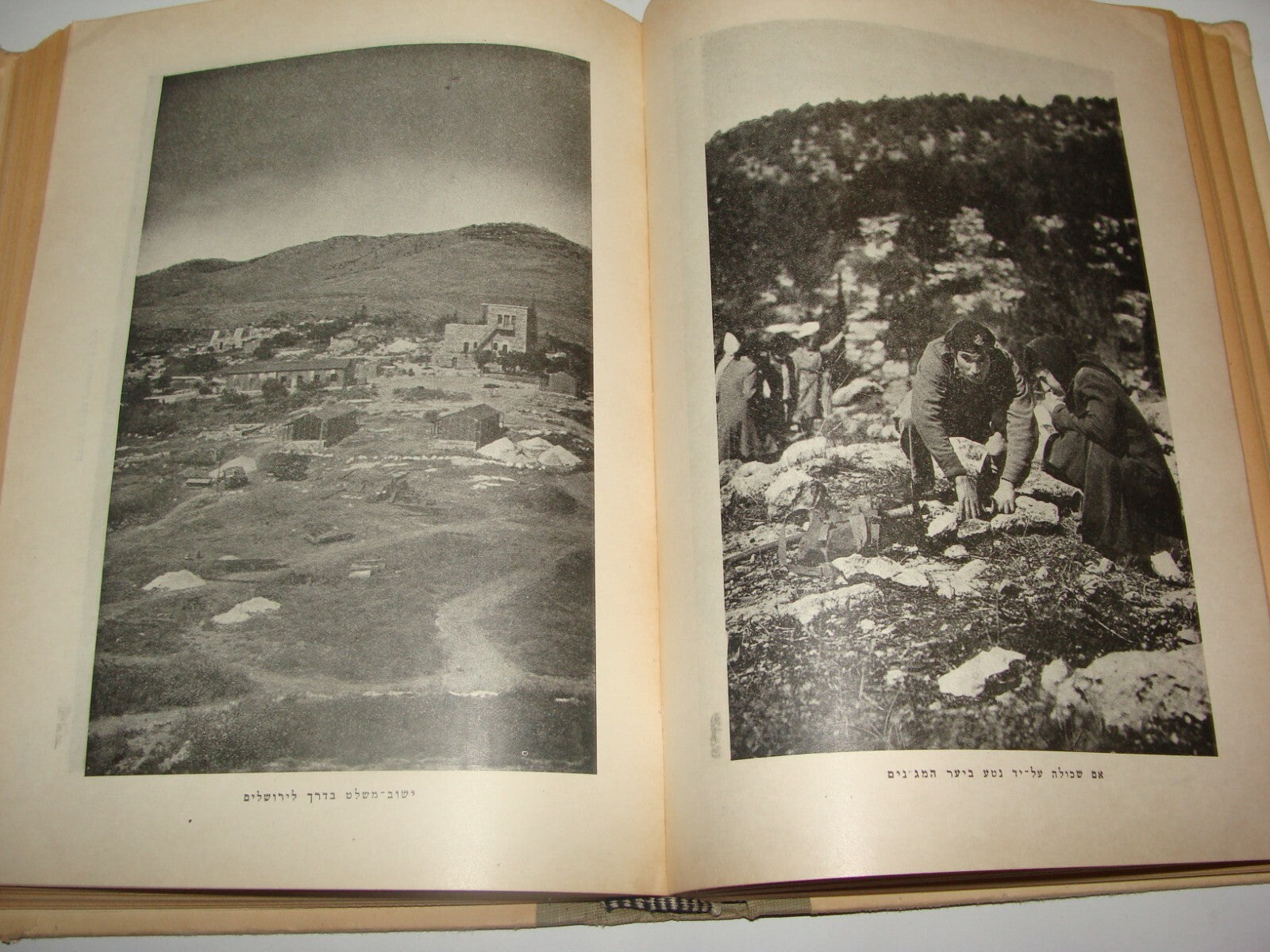 Book Jewish 1950 Judaica National Fund Zionist Hebrew Agriculture Photo Art