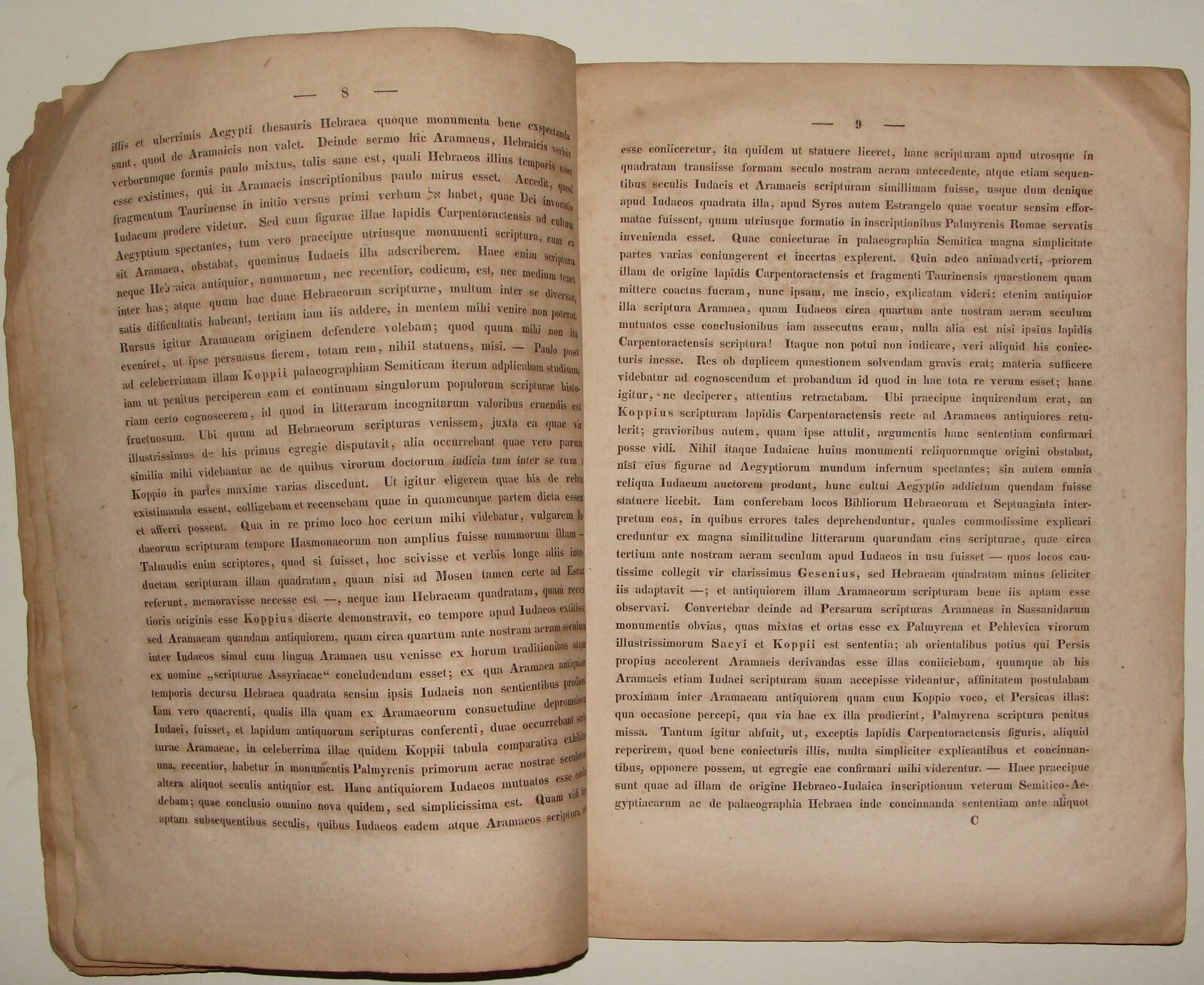 Germany 1833 E. Beer German Papyri Inscriptions Egypt Jewish Hebrew Paleography