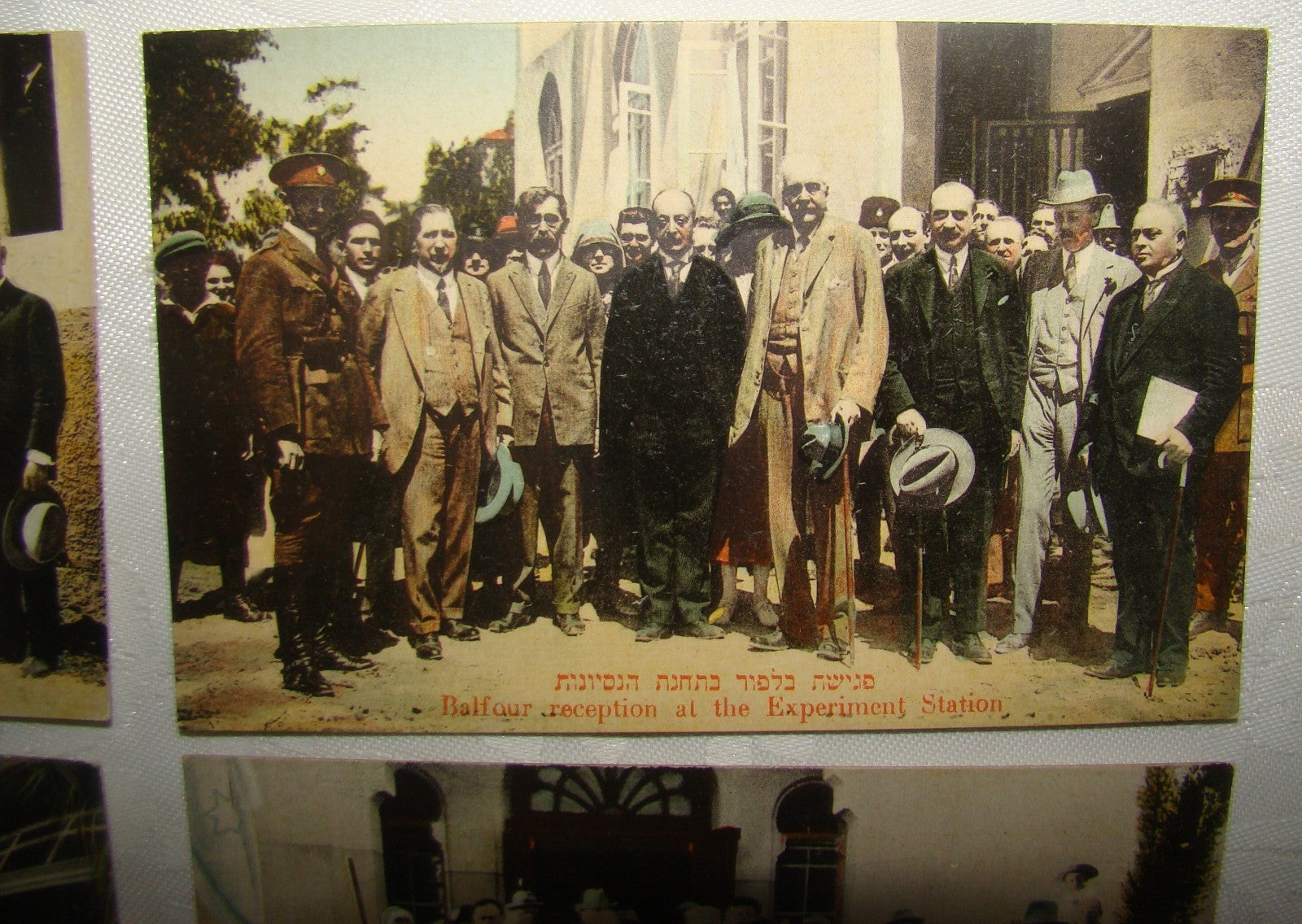 Photo Palestine Card judaica jewish Israel Moshe Ordmann postcard Tel Aviv