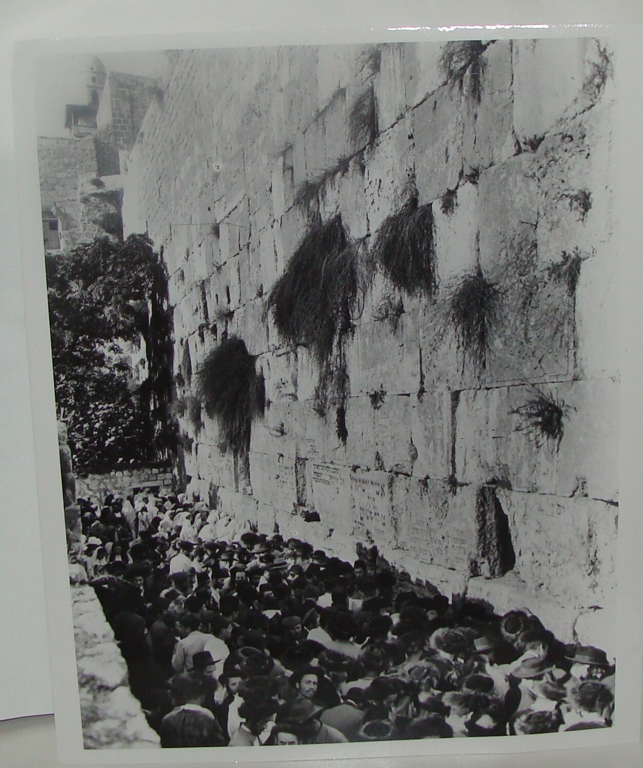 Photo Print, Jewish Judaica Palestine Israel Jerusalem Wailing Western Wall 192?