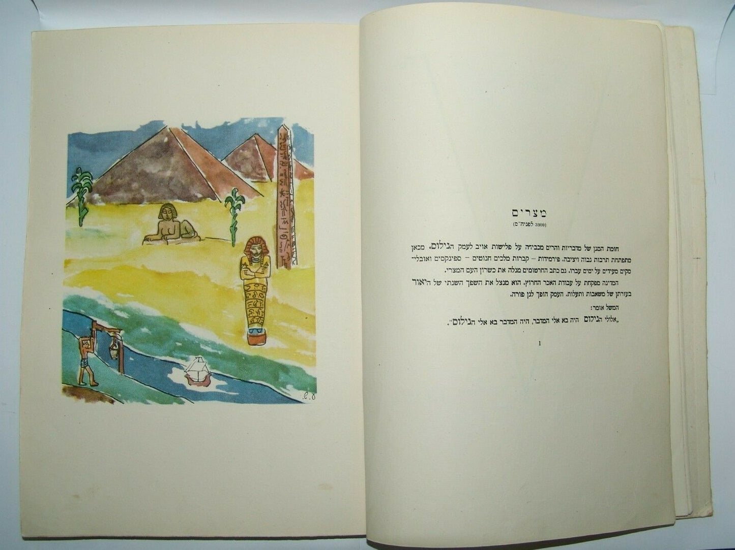 Book Jewish Agency Judaica israel israeli Sh'erit ha-Pletah History study 1949