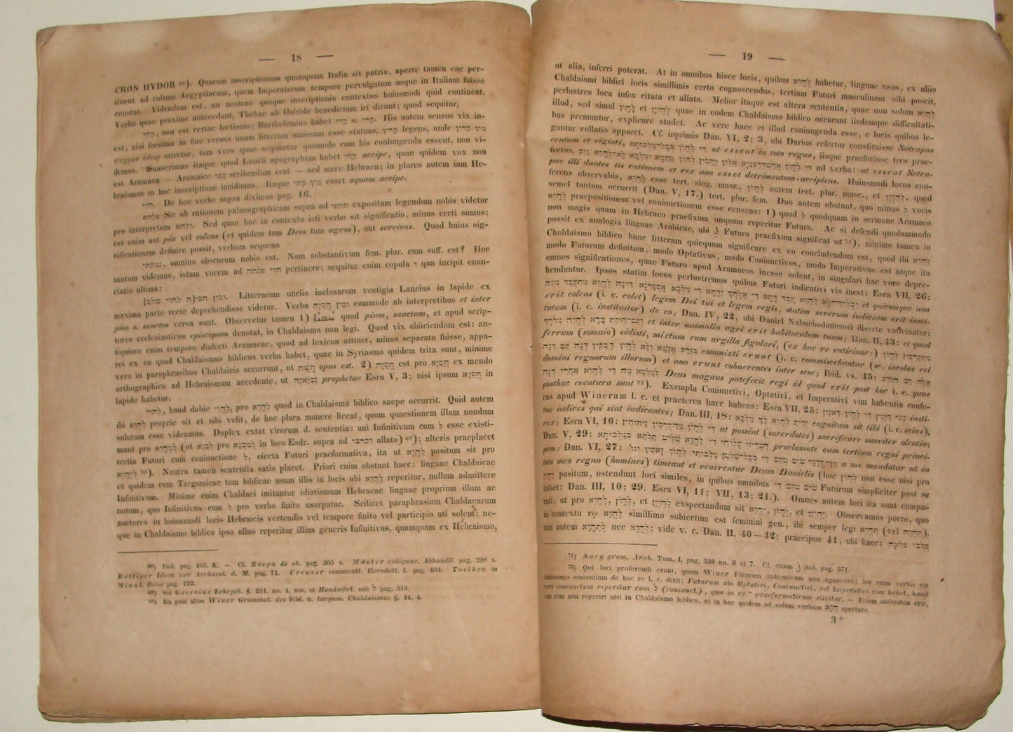 Germany 1833 E. Beer German Papyri Inscriptions Egypt Jewish Hebrew Paleography