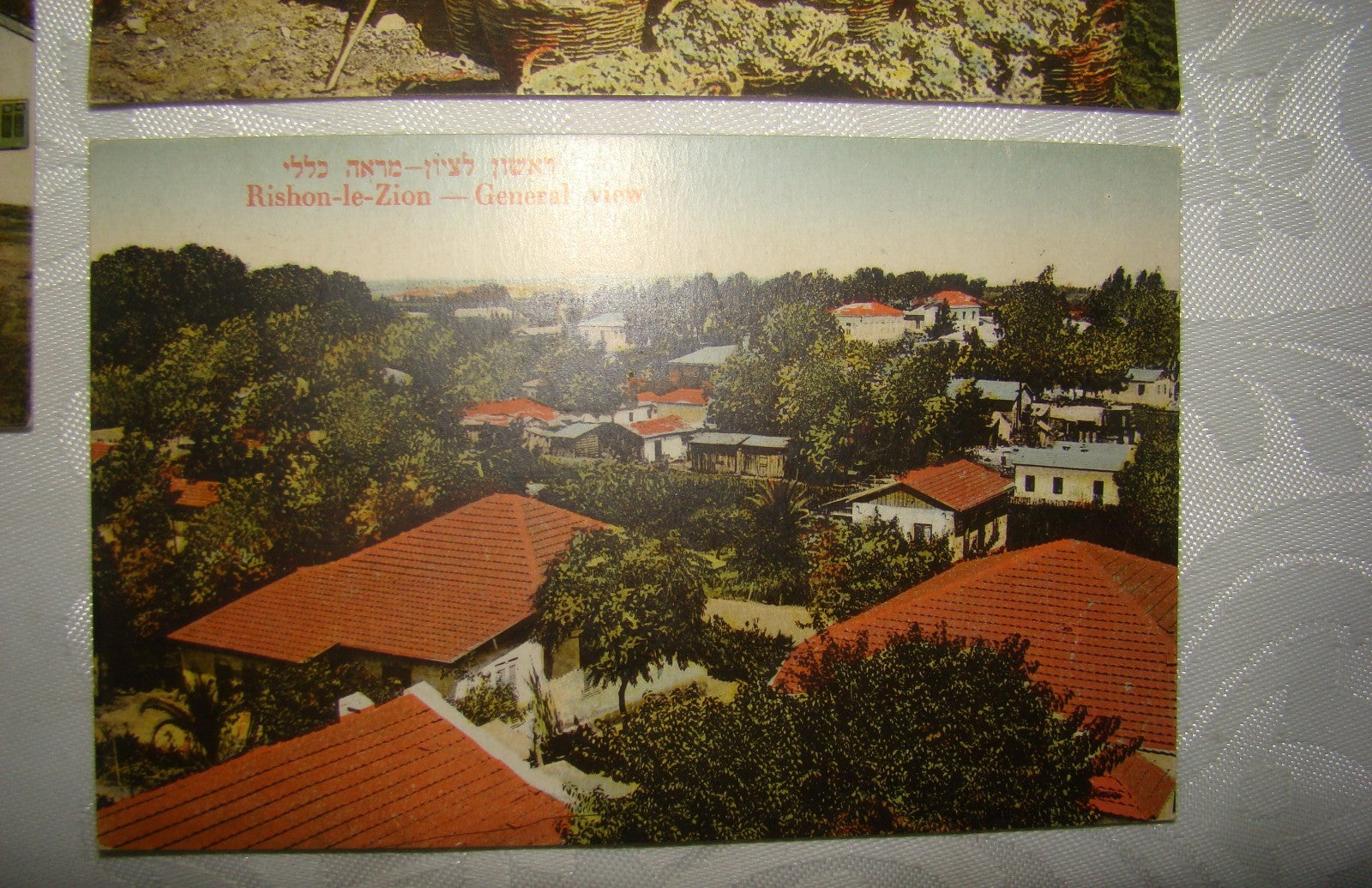 Photo Palestine Card hebrew jewish Israel Moshe Ordmann postcard Rishon LeZion