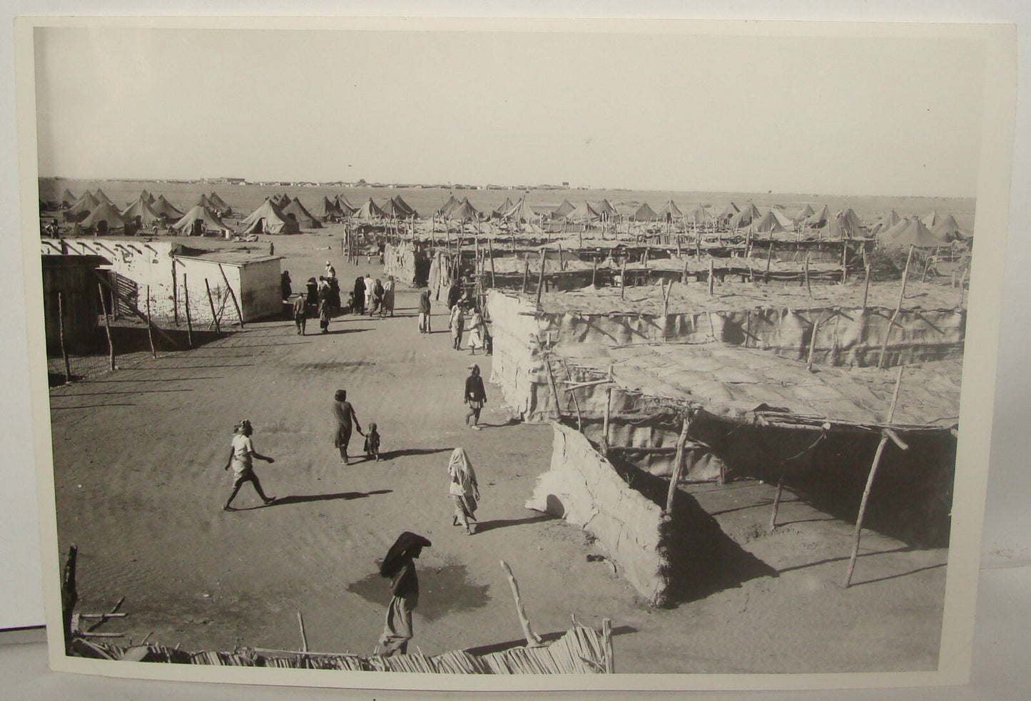 Photo Print, Israel Israeli Yemenite Immigrants 1949 Operation Magic Carpet Jews