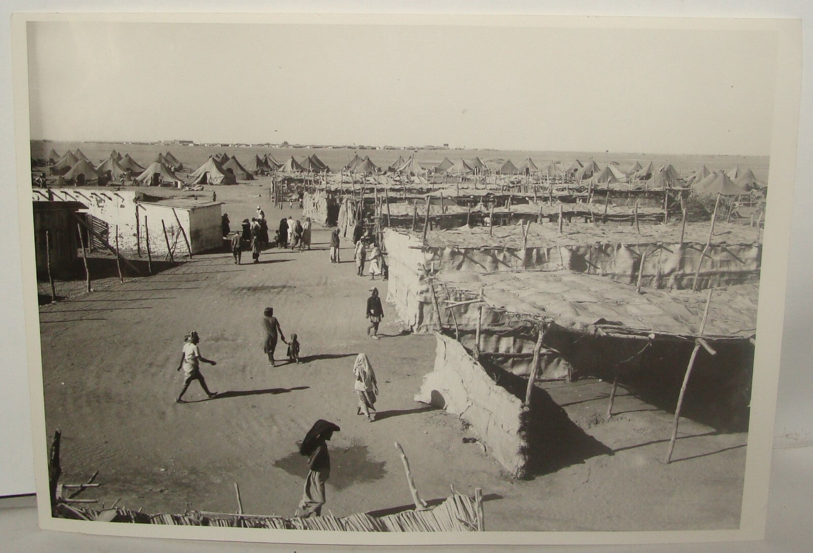 Photo Print, Israel Israeli Yemenite Immigrants 1949 Operation Magic Carpet Jews