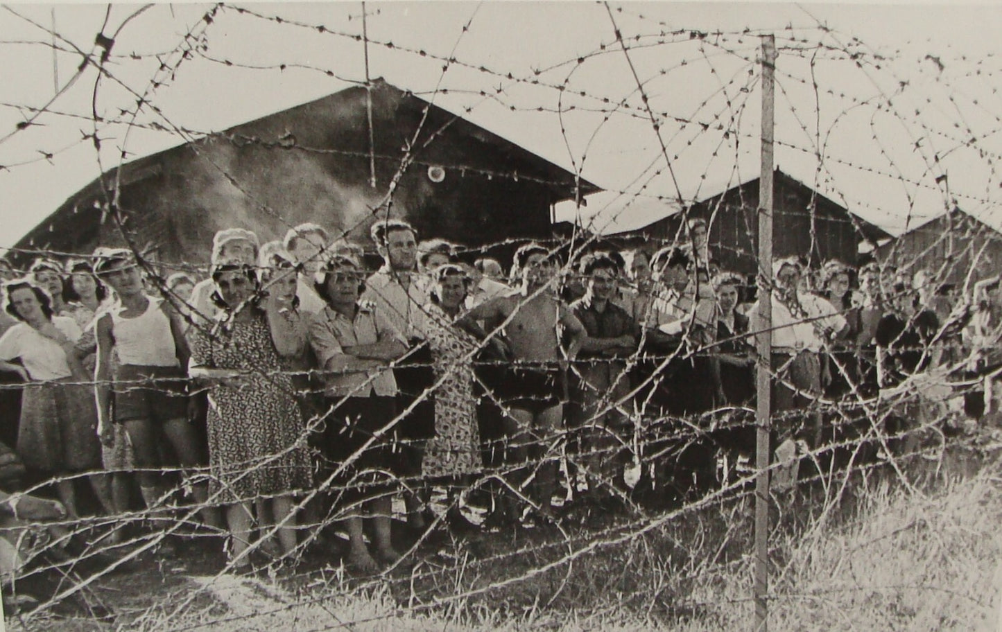 Photo Print, 1940s Jewish Zionist Atlit detainee camp Palestine tim gidal
