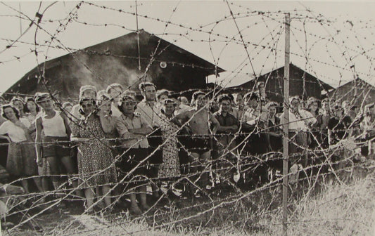 Photo Print, 1940s Jewish Zionist Atlit detainee camp Palestine tim gidal