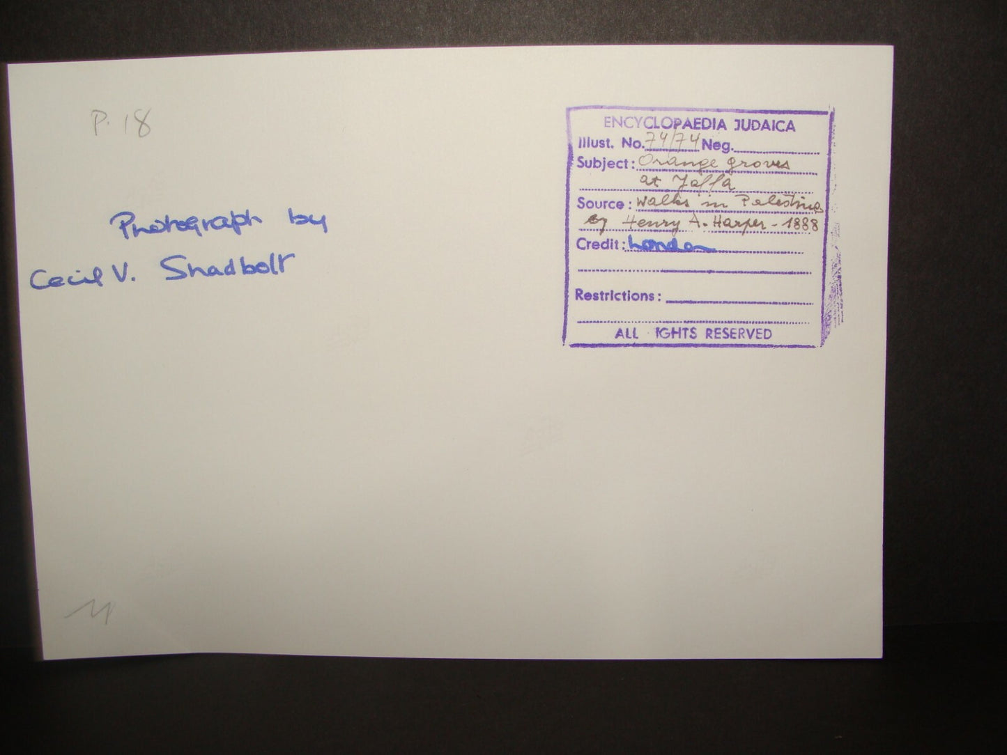 Photo Print Palestine Ad HQ CECIL SHADBOLT 1888 Ottoman Jaffa Walks in Henry