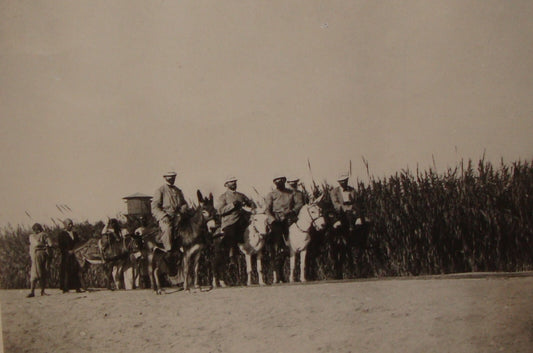 Photo Print Jewish Agency Archives HERZL In Rehovot Judaica Zionist Palestine