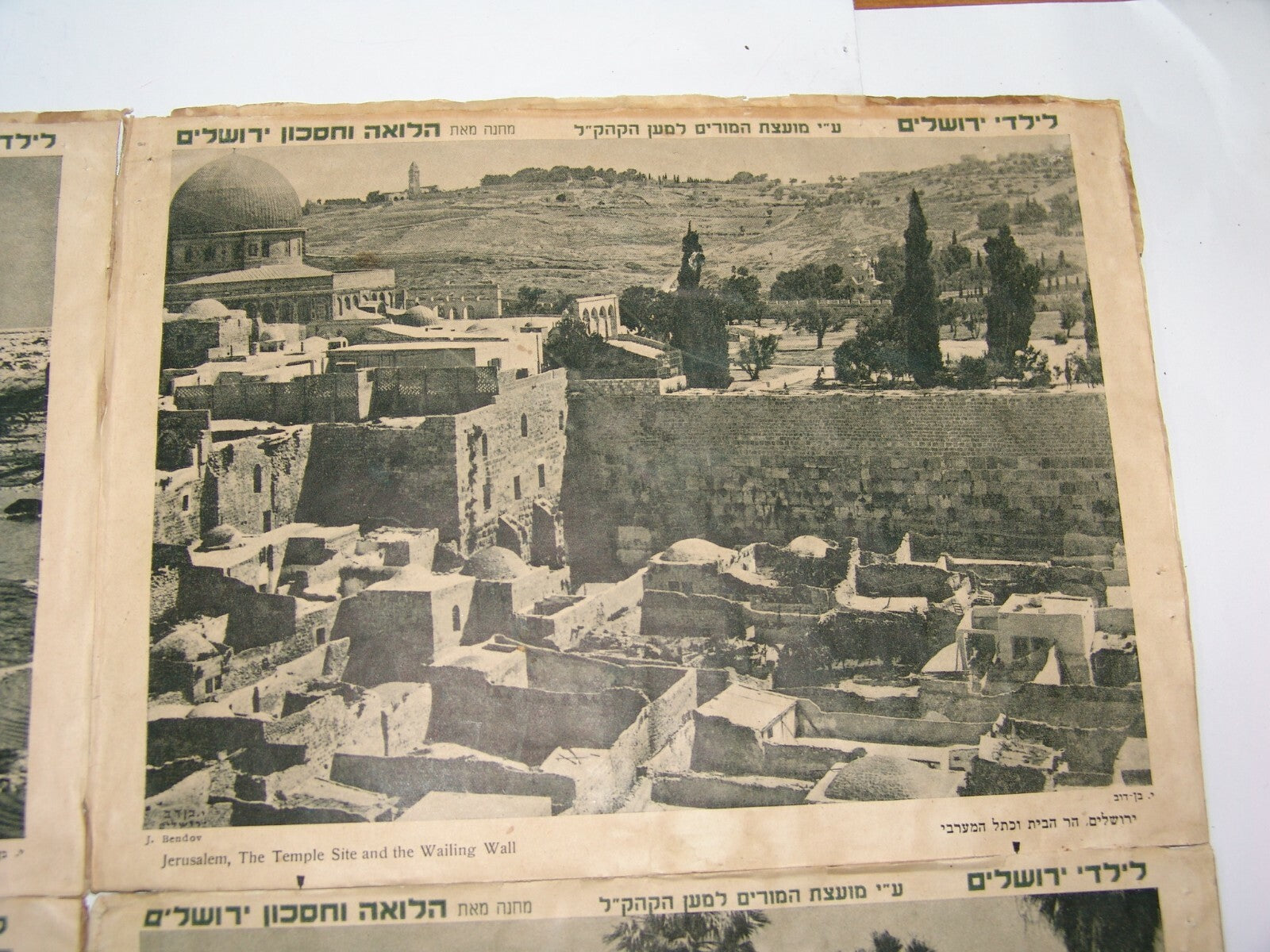 Photo Palestine Ad Jewish israel israeli Jerusalem Hadera Tel Aviv JNF KKL