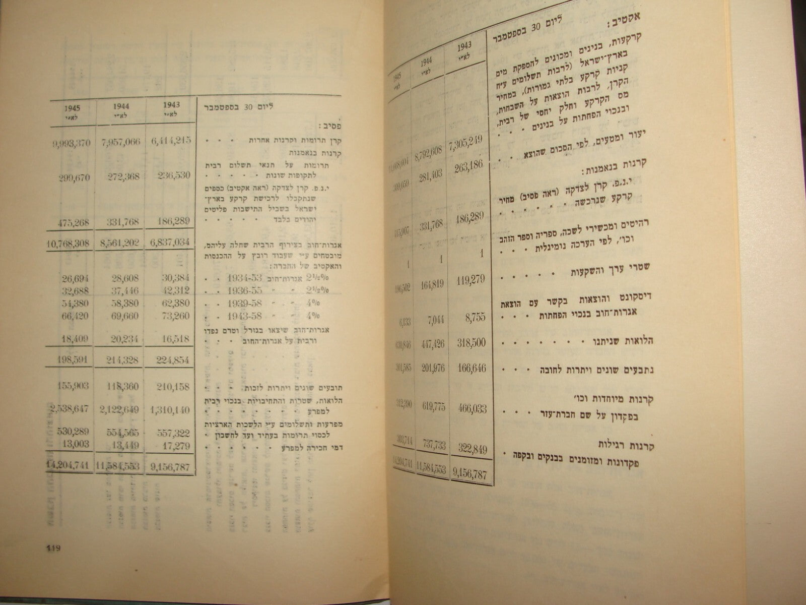 Book Jewish Palestine Israel Israeli Hebrew 1947 Capitalism Bank Economy
