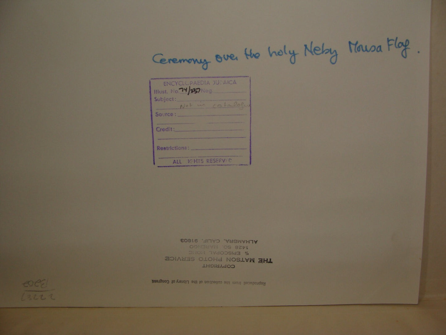 Photo Print Palestine Israel Arab Arabic Nabi Musa Ceremony Flag MATSON 1910s?